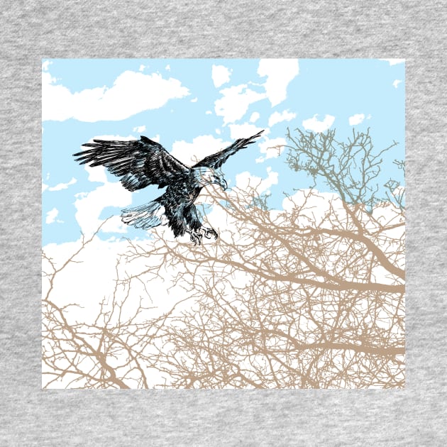 Bald eagle print by rachelsfinelines